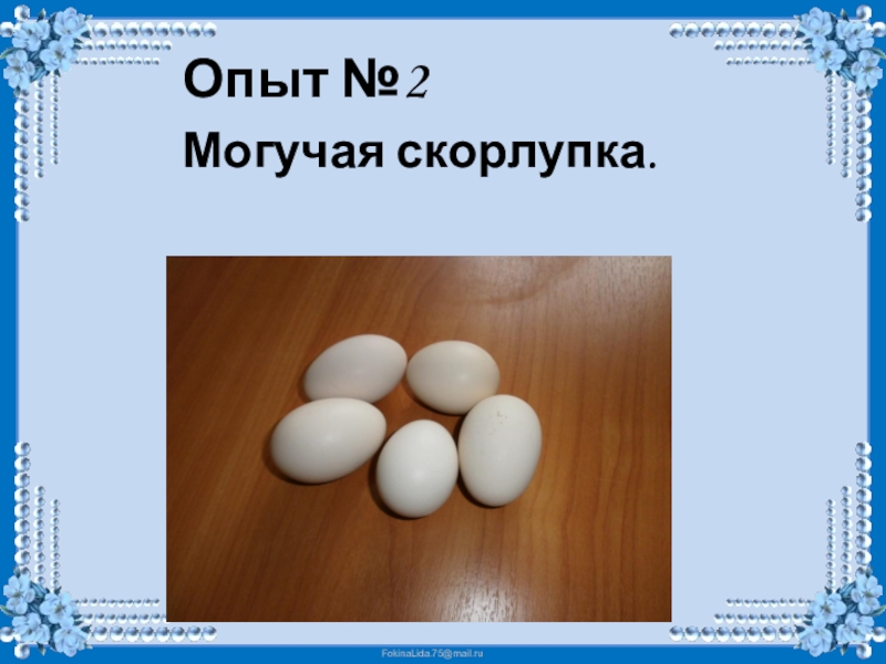 Готовые исследовательские работы младших школьников с презентацией про яйцо