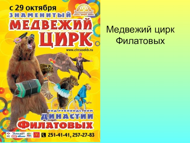 Цирк в новосибирске расписание. Цирк Филатовых. Цирк Филатовых афиша. Медвежий цирк. Афиша цирка.