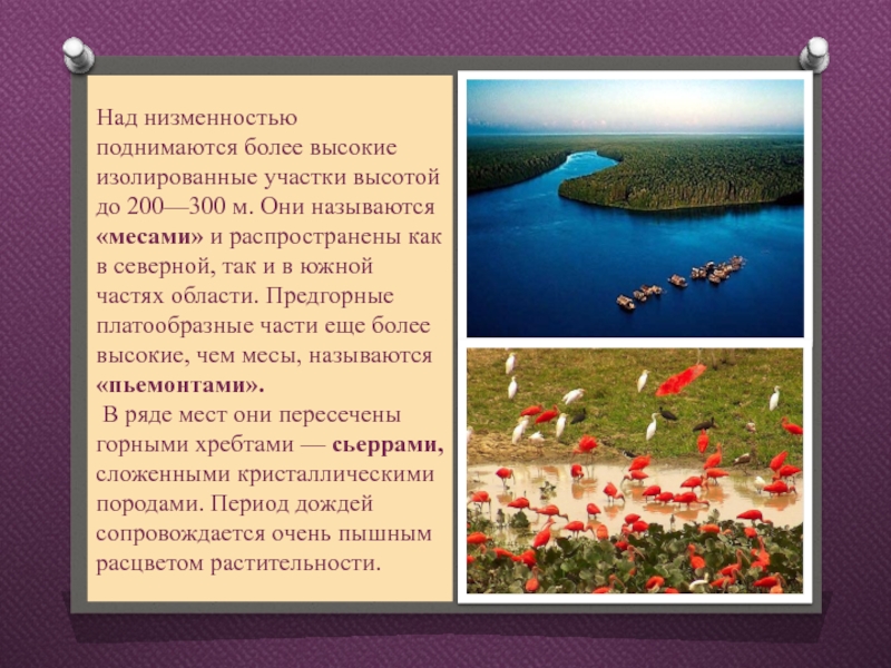 Поднялся более выше. Субтропический климатический пояс климат.