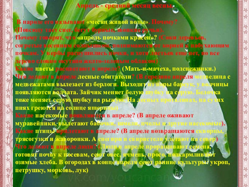 Ранней весной на лесных опушках появляются проталины у зайцев рождаются детеныши составить план