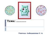 Презентация по биологии на тему Пластиды