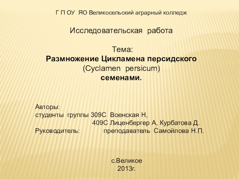 Презентация к исследовательской работе Размножение Цикламена персидского (Cyclamen persicum) семенами.