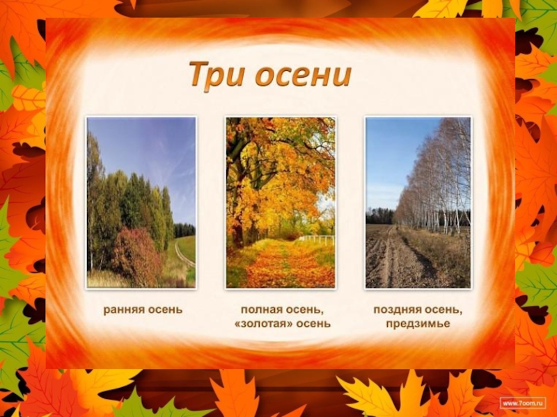 Сравнение осени. Месяца осени. Картинка месяцы осени. 3 Периода осени. Презентация осенние месяцы.