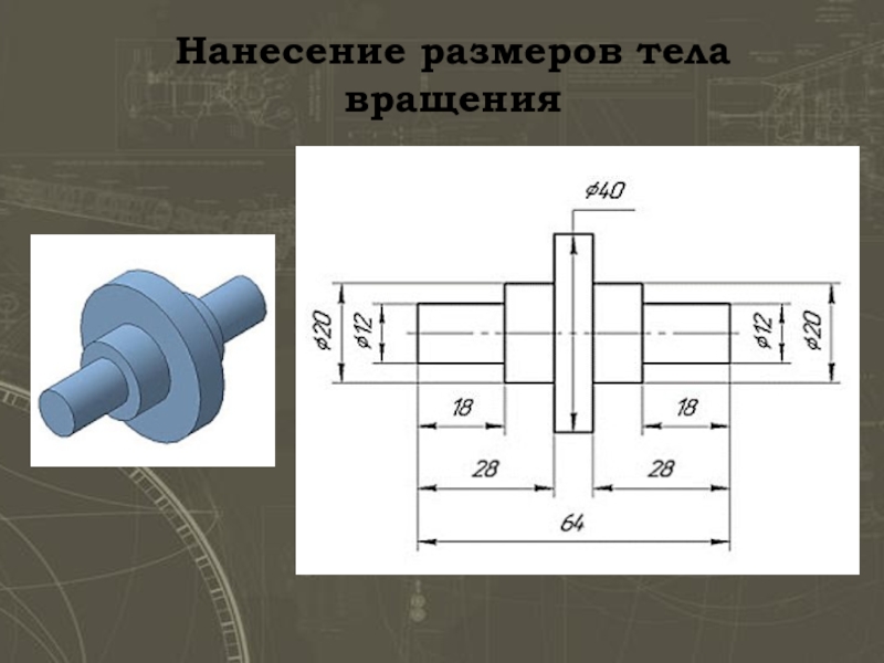 Расположение тел вращения на чертеже