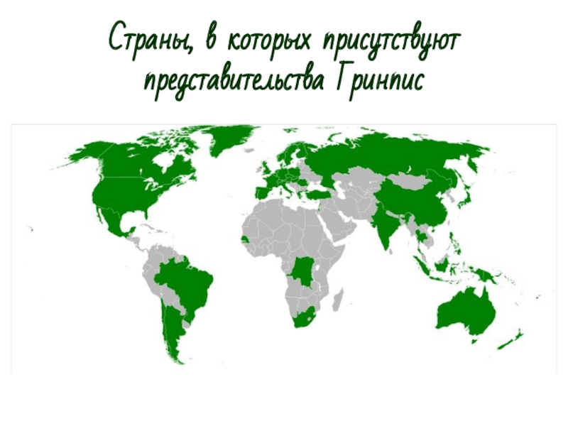 Гринпис страны. Карта Гринпис. Гринпис страны участники. Страны в которых присутствуют представительства Гринпис. Гринпис состав стран.