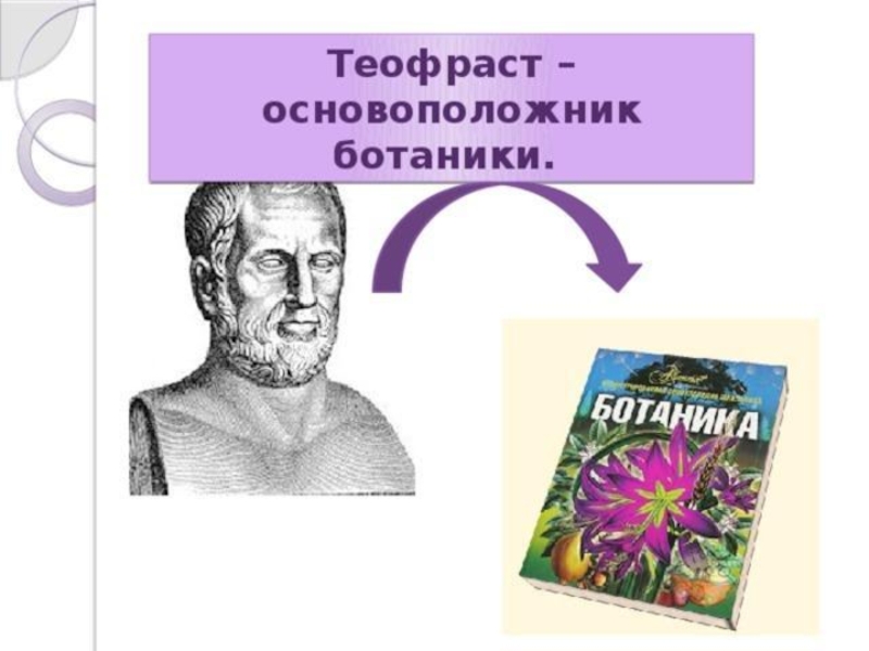 Ботаник наука о растениях. Теофраст основатель науки ботаники. Основоположник Ботани. Ботаника основоположник. Теофраст растения.