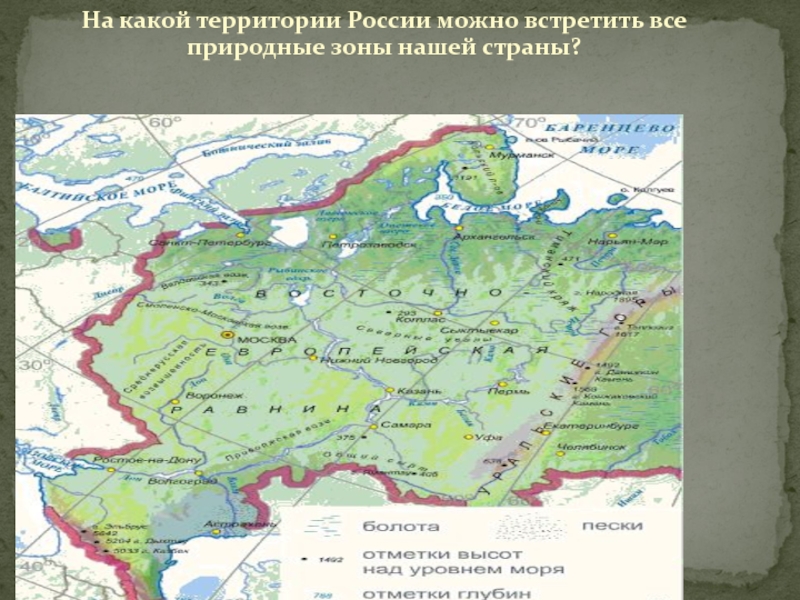 Презентация по географии на тему Русская (Восточно-Европейская) равнина.