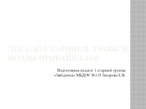 Презентация Растительный мир Прибайкалья