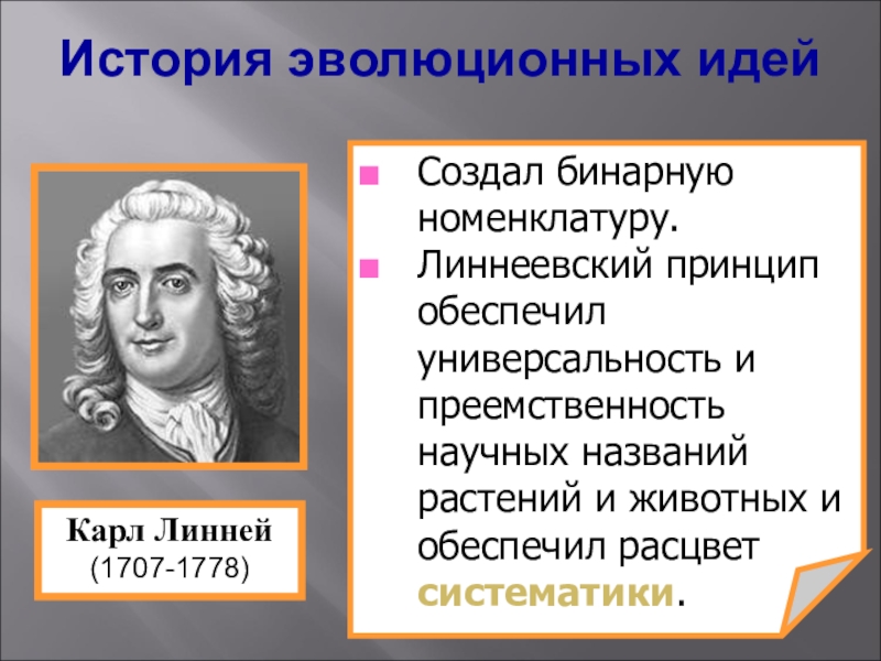 Развитие эволюционных идей презентация 11 класс пасечник