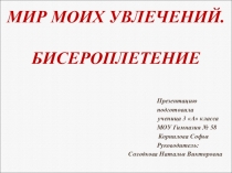 Презентация Мир моих увлечений