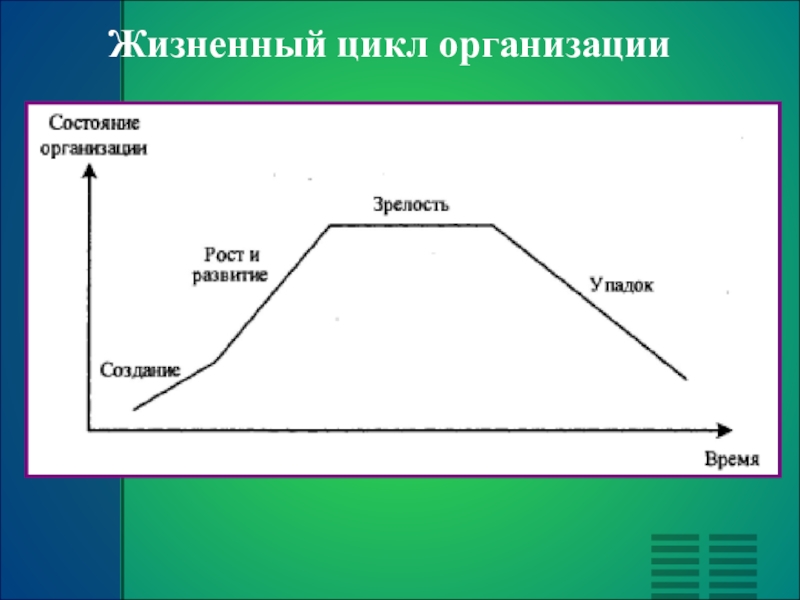 Компания цикл. Жизненный цикл организации. Жизненный цикл предприятия схема. Модель жизненного цикла предприятия. Жизненный цикл юридического лица.