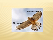 Презентация к уроку Учись учиться по этике