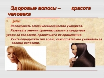 Презентация по технологии Здоровые волосы - красота человека