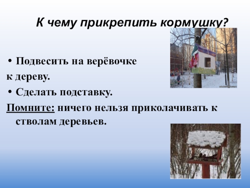 К чему прикрепить кормушку?Подвесить на верёвочкек дереву.Сделать подставку.Помните: ничего нельзя приколачивать к стволам деревьев.