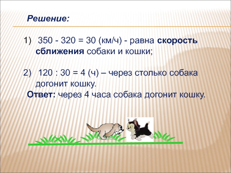 Сколько секунд надо собаке чтобы догнать кошку. Скорость собаки. Средняя скорость собаки. Макс скорость собаки. Скорость собаки м/с.