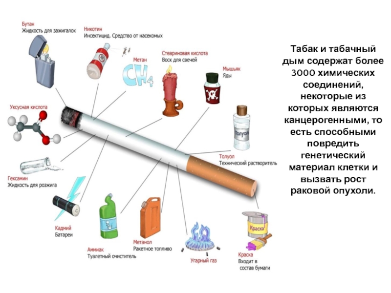 Табак и табачный дым содержат более 3000 химических соединений, некоторые из которых являются канцерогенными, то есть способными