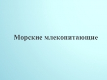 Презентация к внеурочному занятию Морские млекопитающие