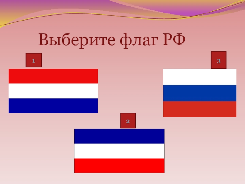 Выбери флаг. Выбери флаг России. Выбери правильный флаг России. Неправильный флаг России. Флаг России выборы.