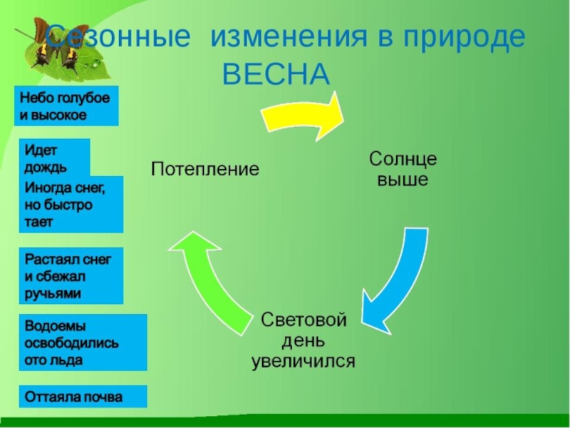 Проект на тему весна 2 класс по окружающему миру