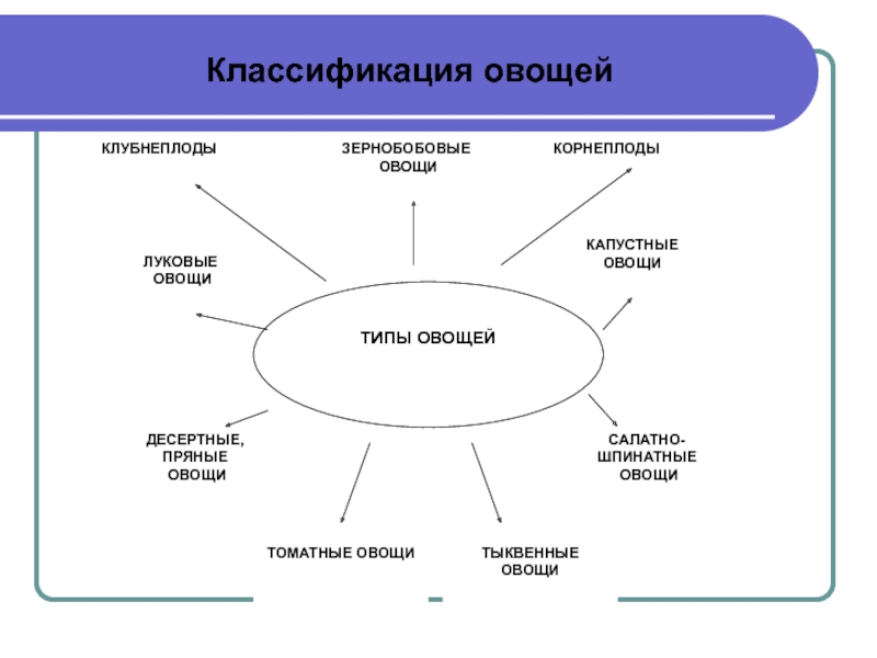 Классификация овощей презентация