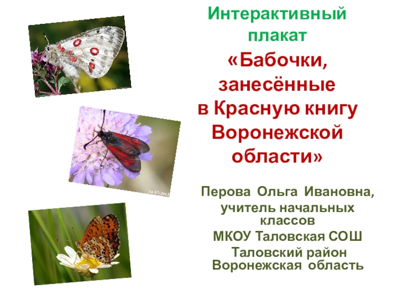 Презентация Интерактивный плакат по окружающему миру на тему Бабочки, занесённые в Красную книгу Воронежской области