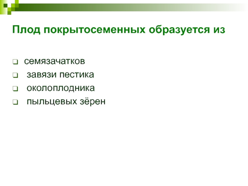 Плод покрытосеменных образуется из   семязачатков   завязи пестика   околоплодника   пыльцевых зёрен