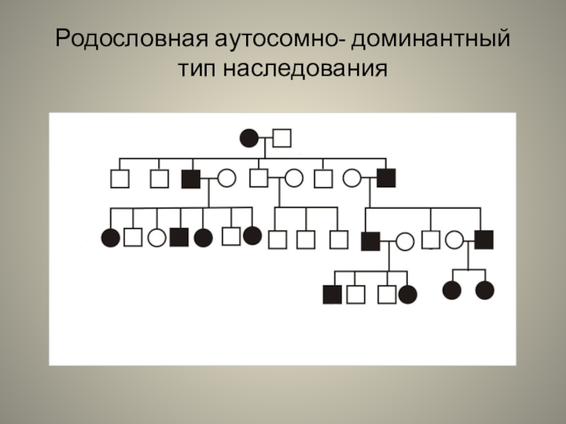 Аутосомно доминантный тип наследования схема - 86 фото