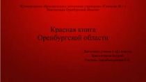 Презентация по курсу Мое Оренбуржье (4 класс)