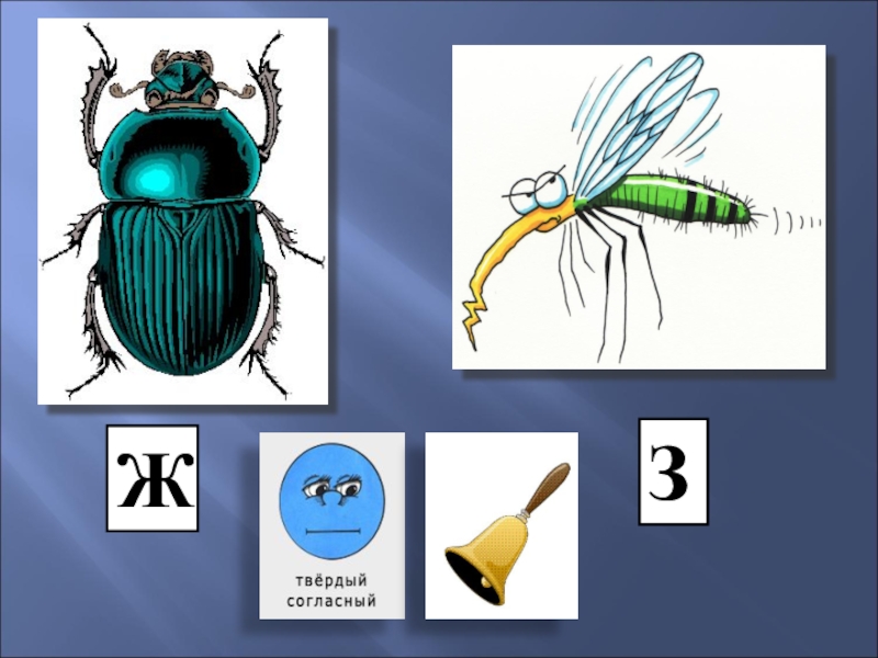 Звук комара. Символ звука ж. Символ звука ж Жук. Символ звука з. Звук з с изображением комара.