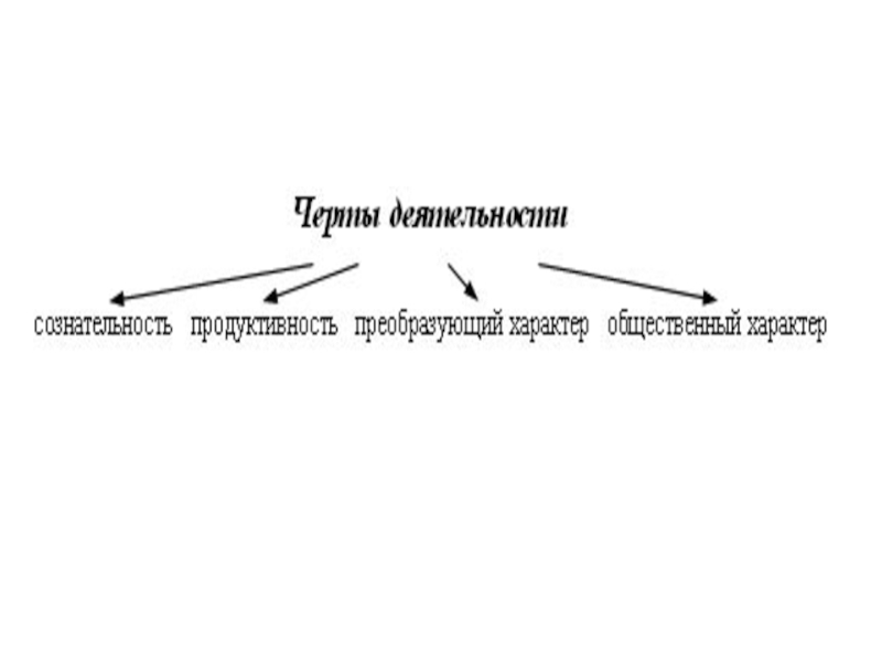 10 деятельность