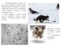 Презентация к уроку эколого-прикладного кружка Животные зимой. Их следы на снегу (3-4 класс)