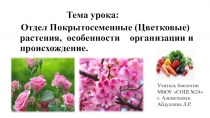 Презентация по биологии на темуОтдел Покрытосеменные (Цветковые) растения, особенности организации и происхождение.