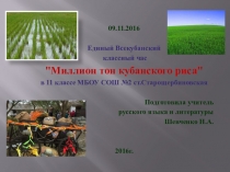 Презентация Единый Всекубанский классный час Миллион тонн кубанского риса