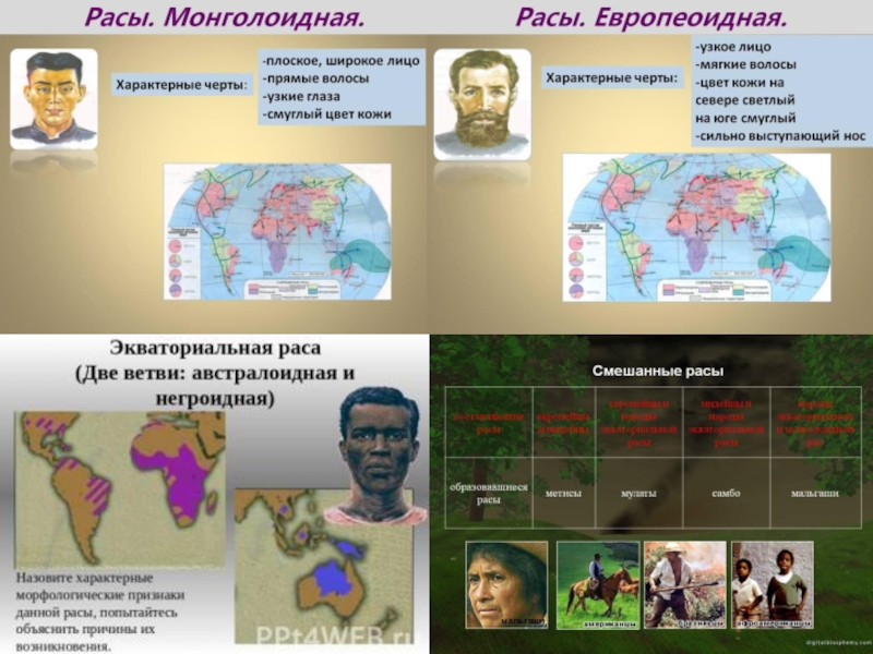 Происхождение человека человеческие расы. Европеоидная монголоидная негроидная раса таблица. Человеческие расы. Эволюция человека расы человека. Современные расы человека.