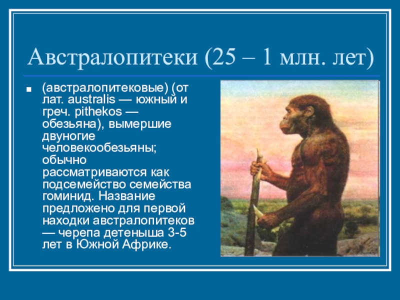 Австралопитеки презентация по биологии 11 класс