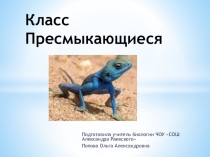 Презентация по биологии на тему Класс Пресмыкающиеся