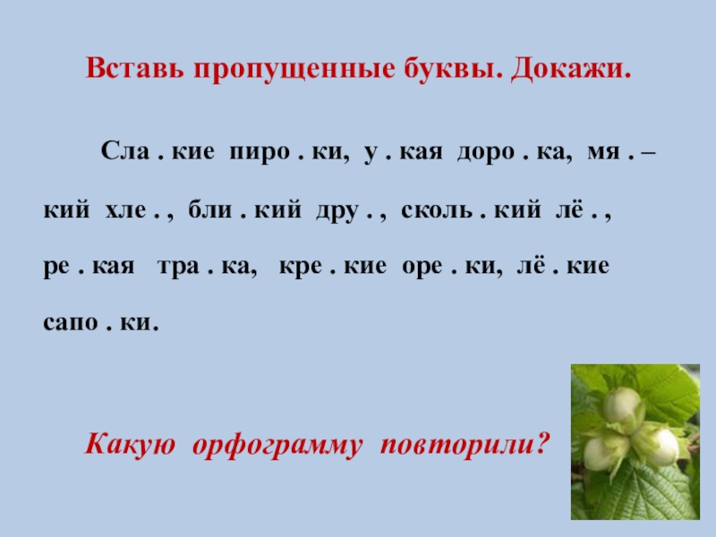 Разминка по русскому языку 3 класс презентация