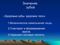 Презентация по теме Строение зубов для 8 класса
