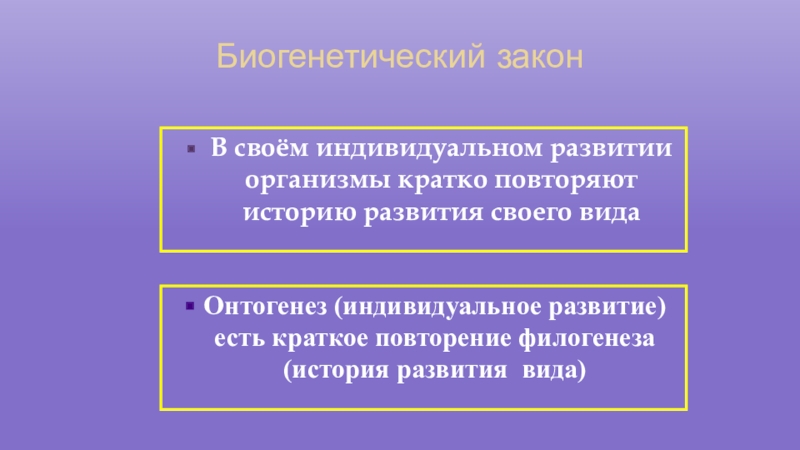 Развитие организмов кратко. Закон индивидуального развития. Индивидуальное развитие организмов биогенетический закон. Закон индивидуального развития 8 класс. Индивидуальное развитие организмов биогенетический закон конспект.