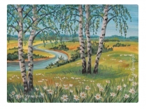 Презентация к уроку Окружающий мир