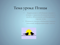 Презентация по биологии на тему  Класс Птицы (7 класс)