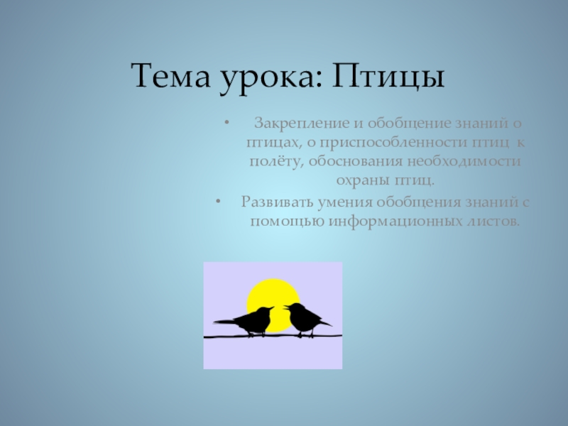 Презентация по биологии на тему  Класс Птицы (7 класс)