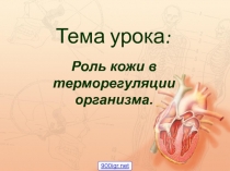 Презентация по биологии  Терморегуляция 9 класс