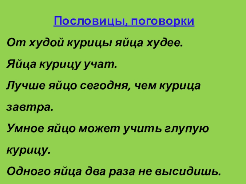 Человек яйца текст. Пословицы и поговорки о яйцах. Пословицы о яйце. Пословицы и поговорки про курицу. Поговорки про яйца.