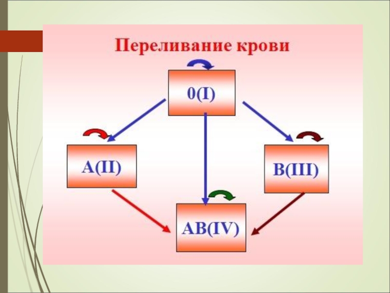 Презентация на тему совместимость групп крови