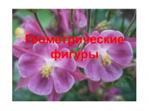 Презентация по математике на тему Галерея ученых математиковгеометрические фигуры