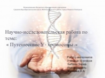 Презентация по биологии:  Путешествие У-Хромосомы