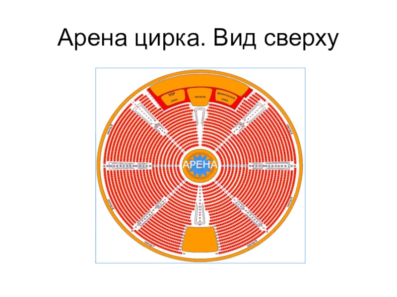 Виды арен. На арене цирка. Схема цирка. Манеж цирковой вид сверху. Арена цирка вид сверху.