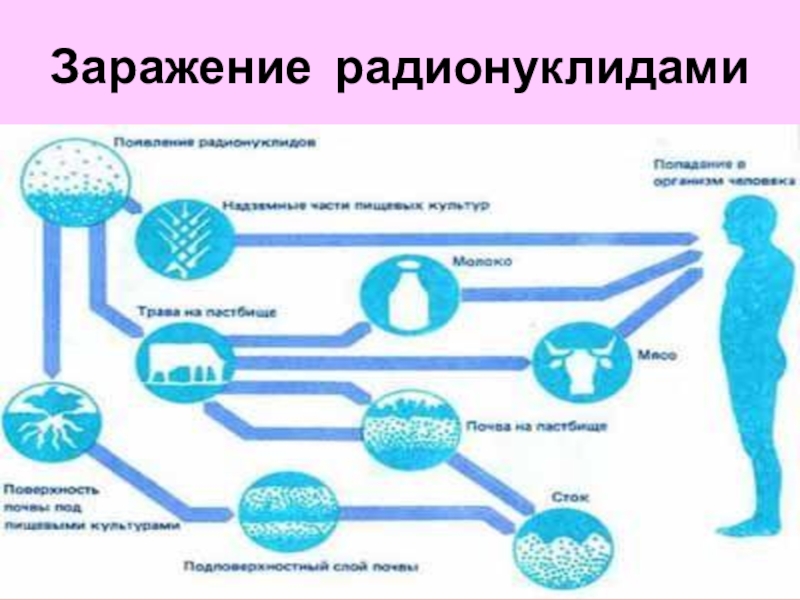 Радионуклиды. Радионуклиды это. Радионуклиды в биологии. Радионуклиды картинки.