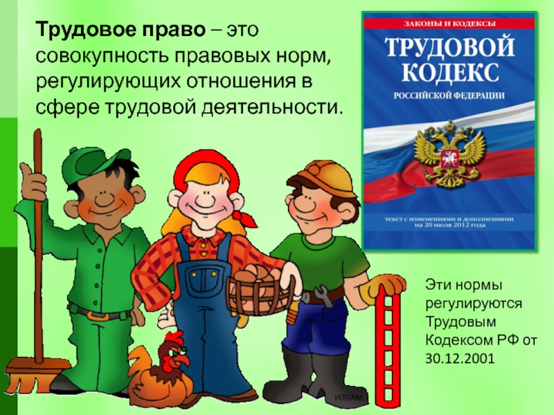 Трудовое право класс. Трудовое право. Трудовые права молодежи. Рисунок на тему трудовой кодекс. Трудового права в жизни общества.